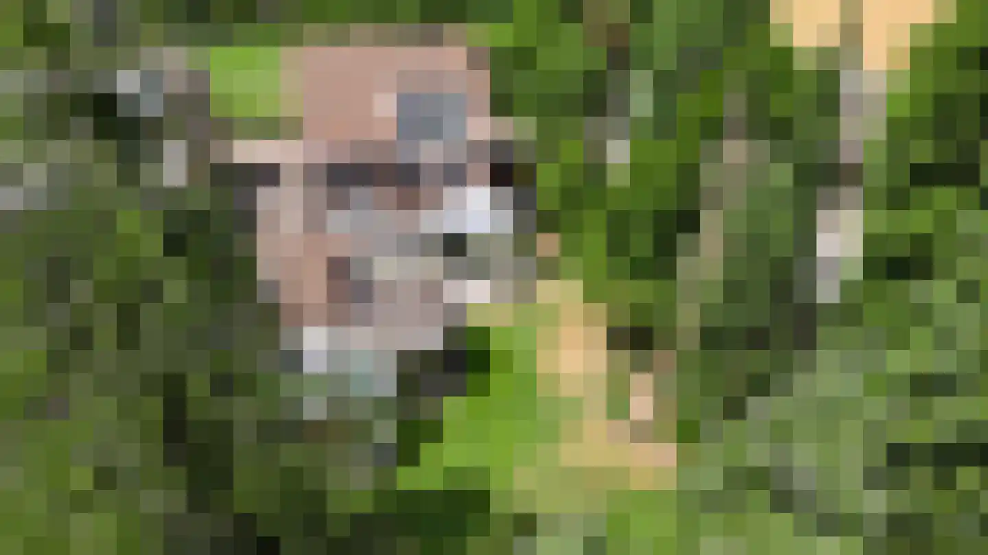 Tussen de Bruggen 85 Meerssen thumbnail 40