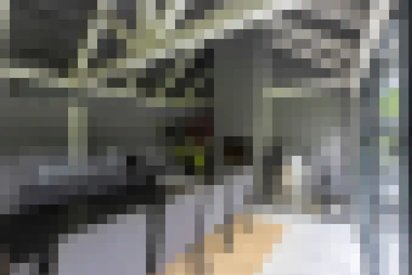 Tussen de Dennen 8 Zeist thumbnail 22