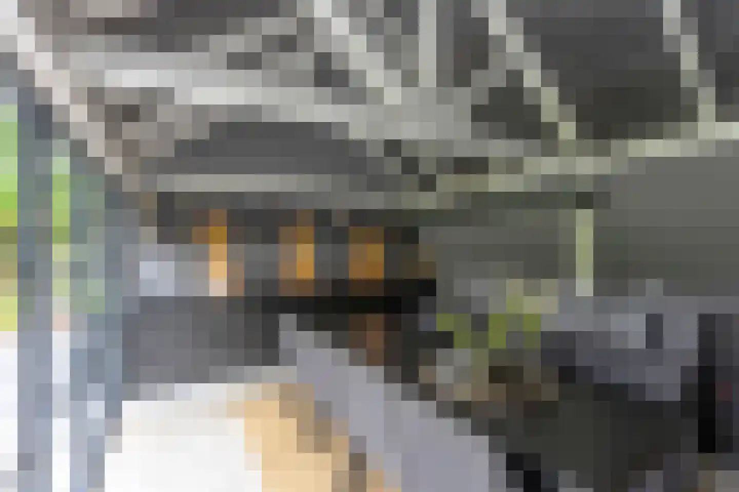 Tussen de Dennen 8 Zeist thumbnail 23