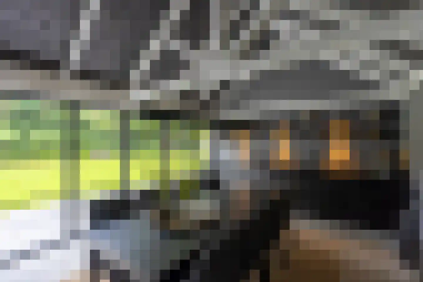 Tussen de Dennen 8 Zeist thumbnail 24