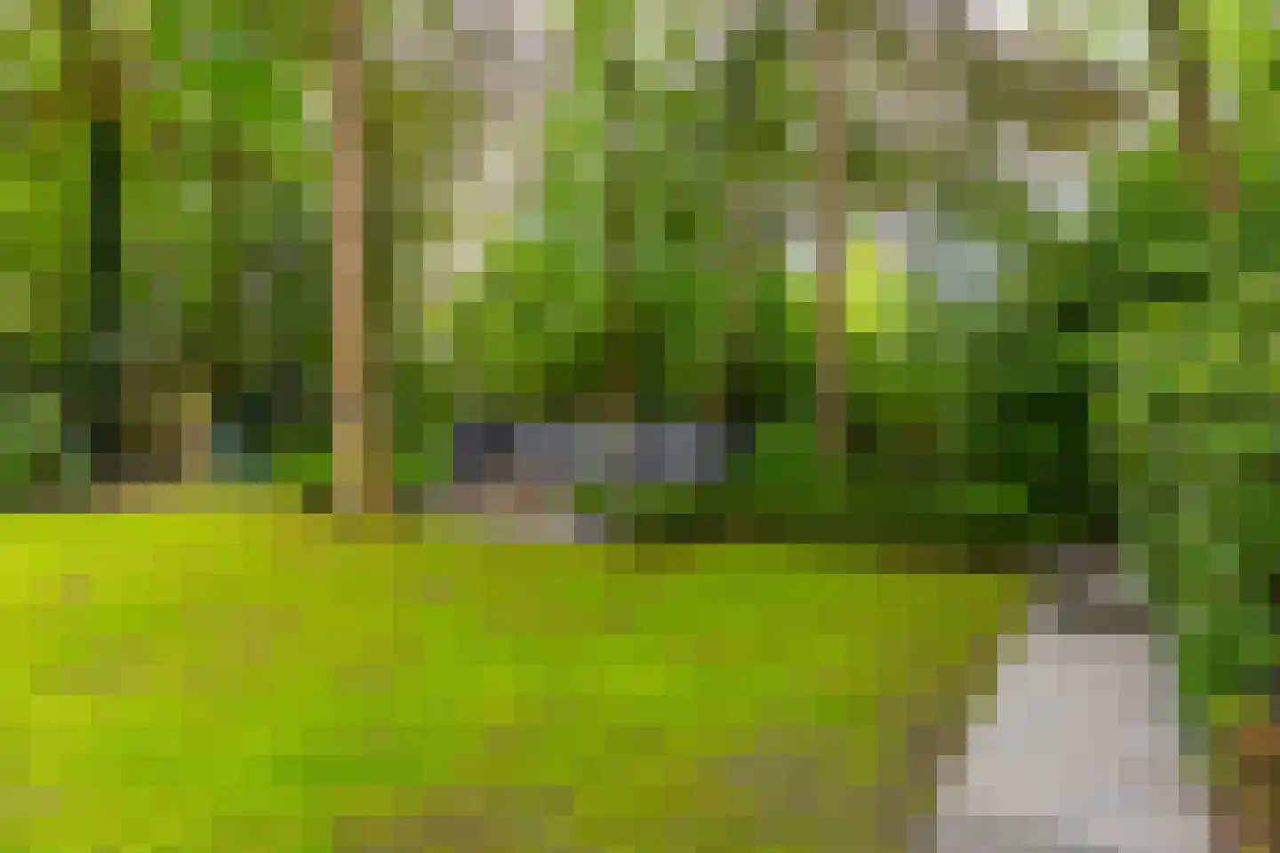Tussen de Dennen 8 Zeist thumbnail 26