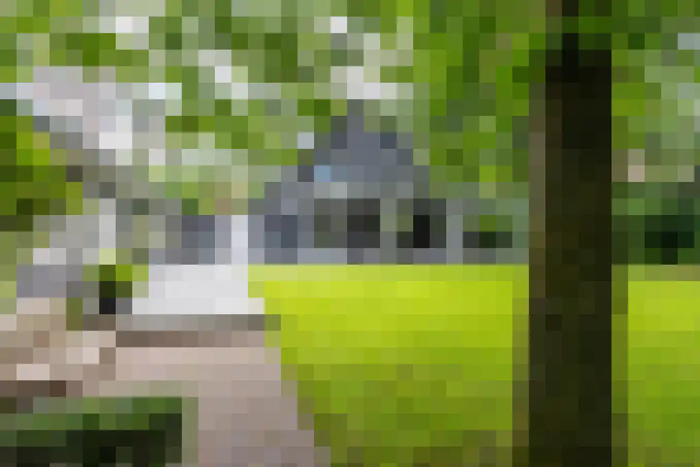Tussen de Dennen 8 Zeist thumbnail 27