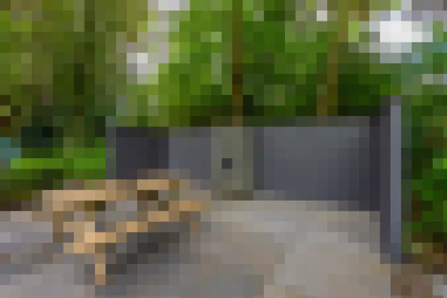 Tussen de Dennen 8 Zeist thumbnail 28