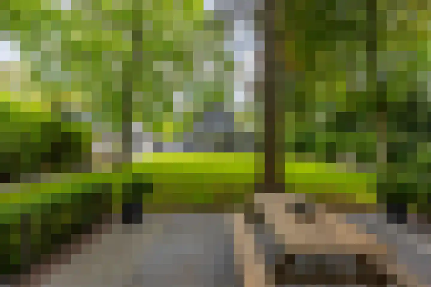 Tussen de Dennen 8 Zeist thumbnail 29