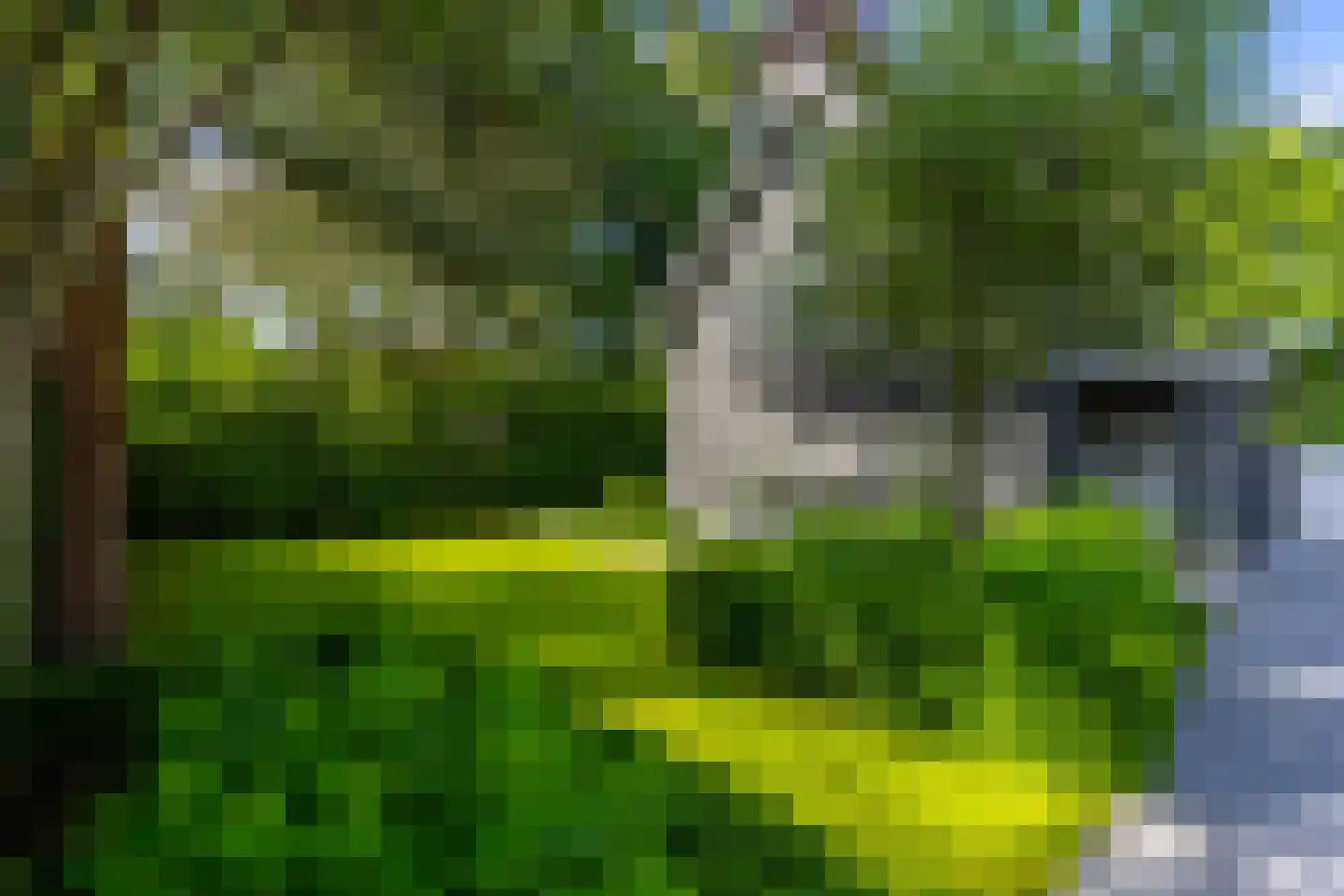 Tussen de Dennen 8 Zeist foto 3