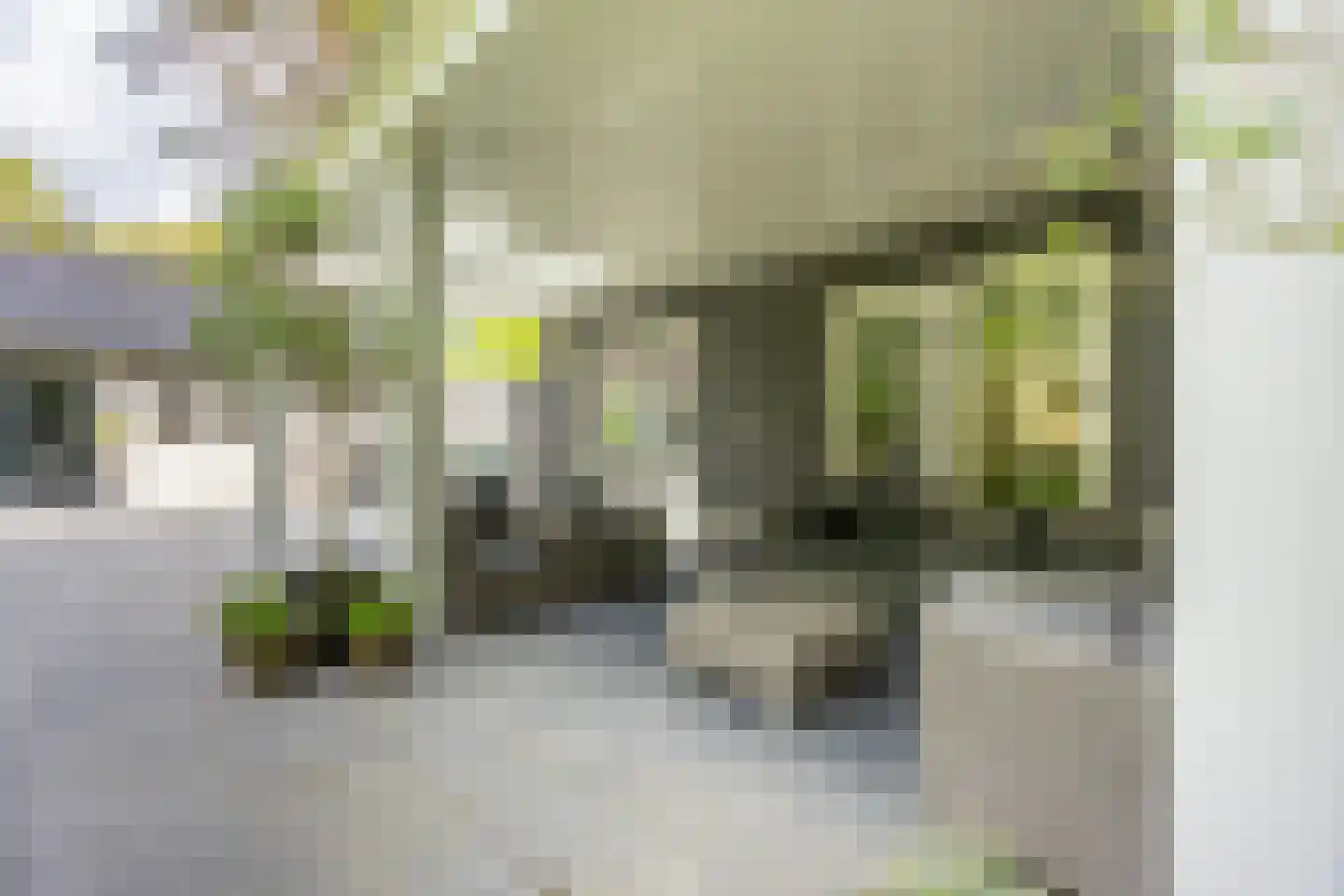 Tussen de Dennen 8 Zeist thumbnail 32