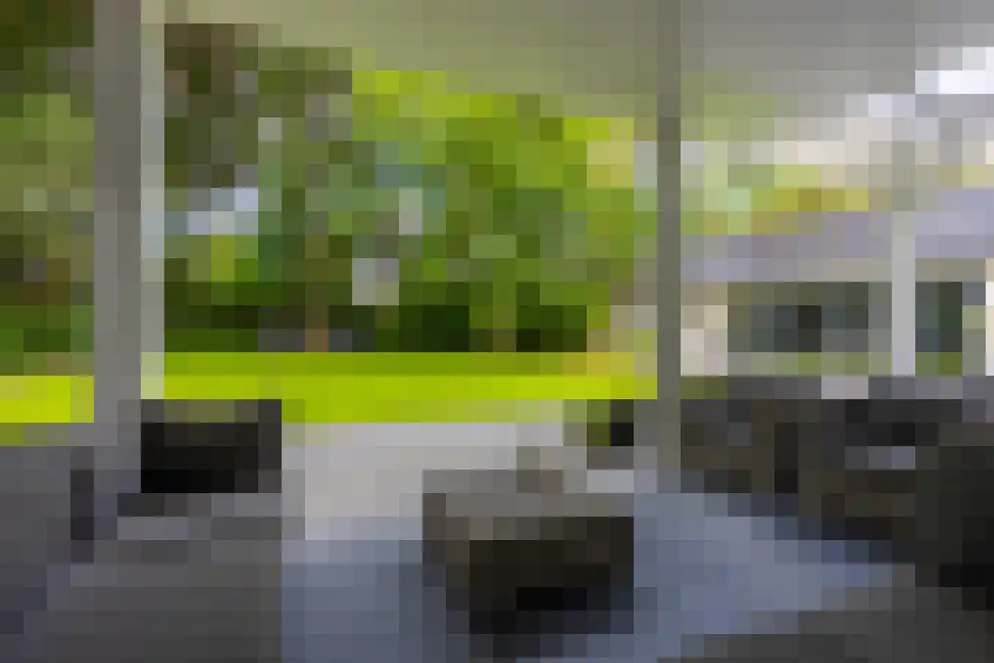 Tussen de Dennen 8 Zeist thumbnail 33