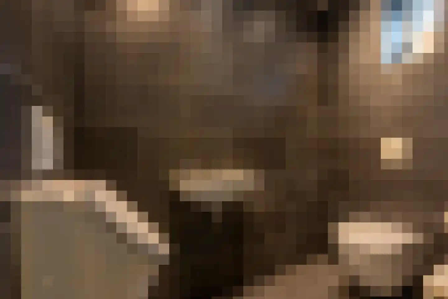 Tussen de Dennen 8 Zeist thumbnail 38