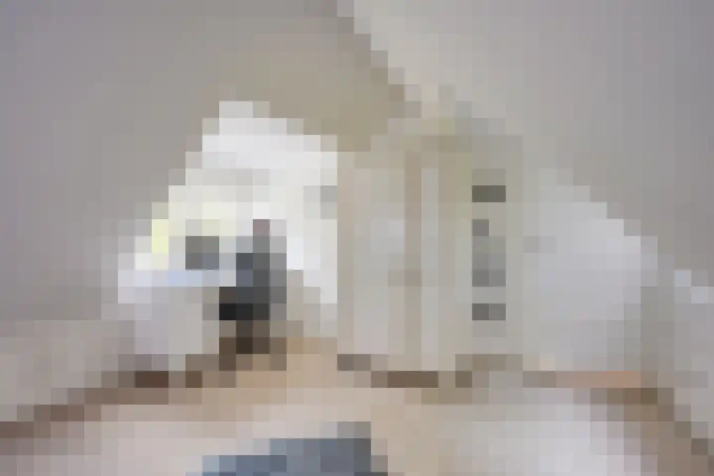 Tussen de Dennen 8 Zeist thumbnail 55