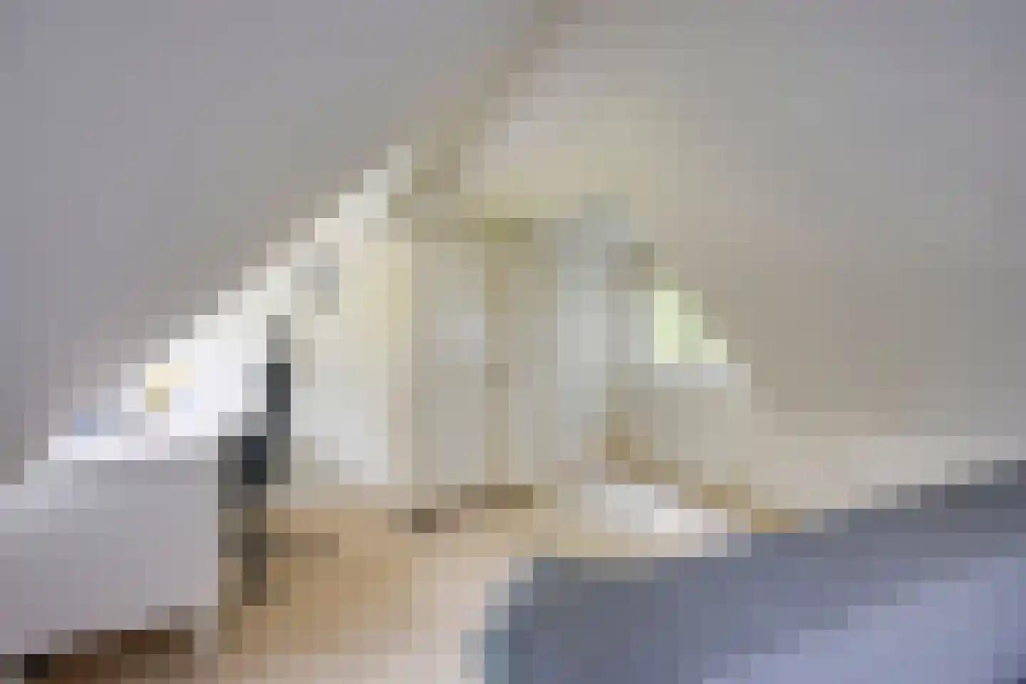 Tussen de Dennen 8 Zeist thumbnail 56