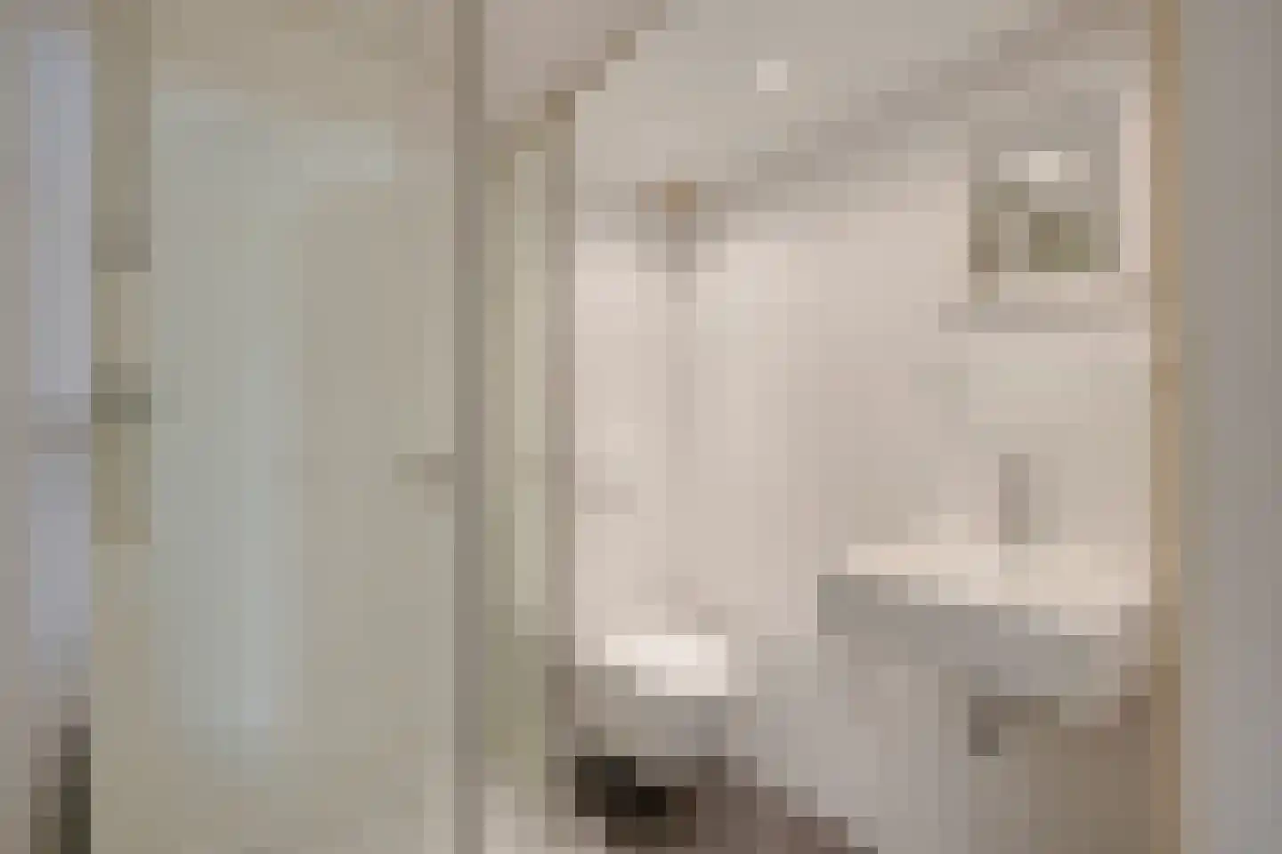 Tussen de Dennen 8 Zeist thumbnail 57