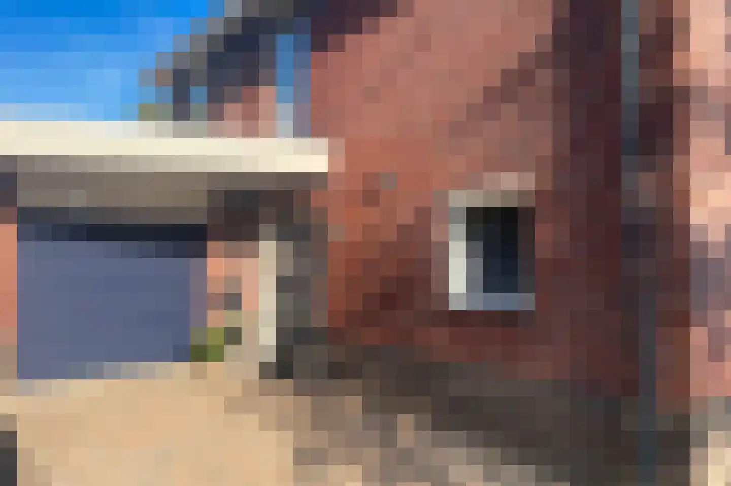 Tussen de Heggen 20 Zetten thumbnail 10