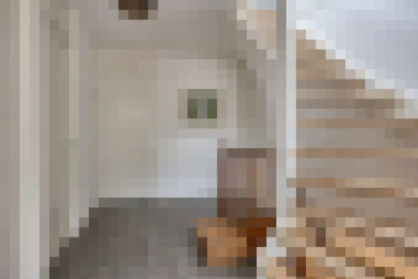 Tussen de Heggen 20 Zetten thumbnail 21