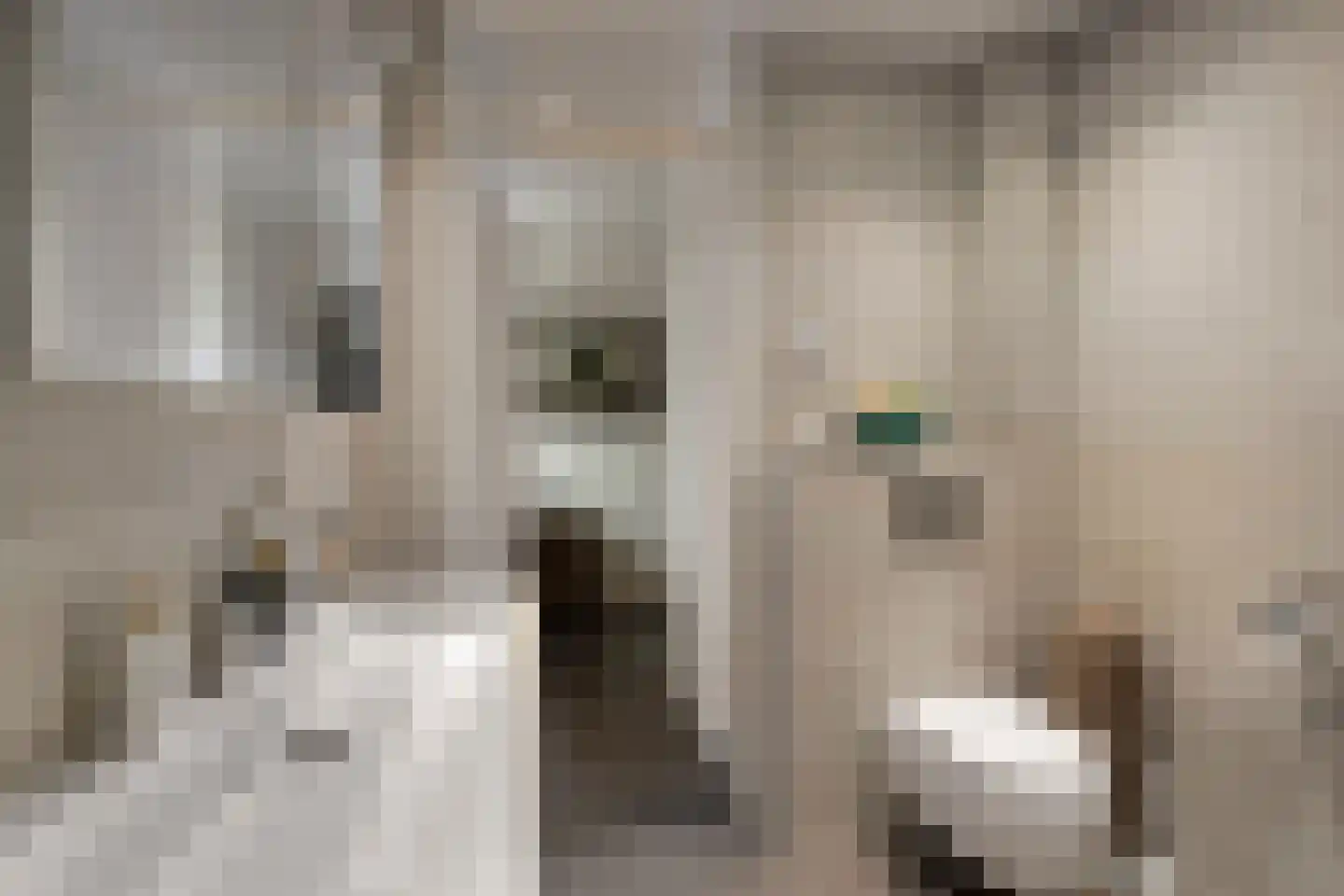 Tussen de Heggen 20 Zetten thumbnail 27