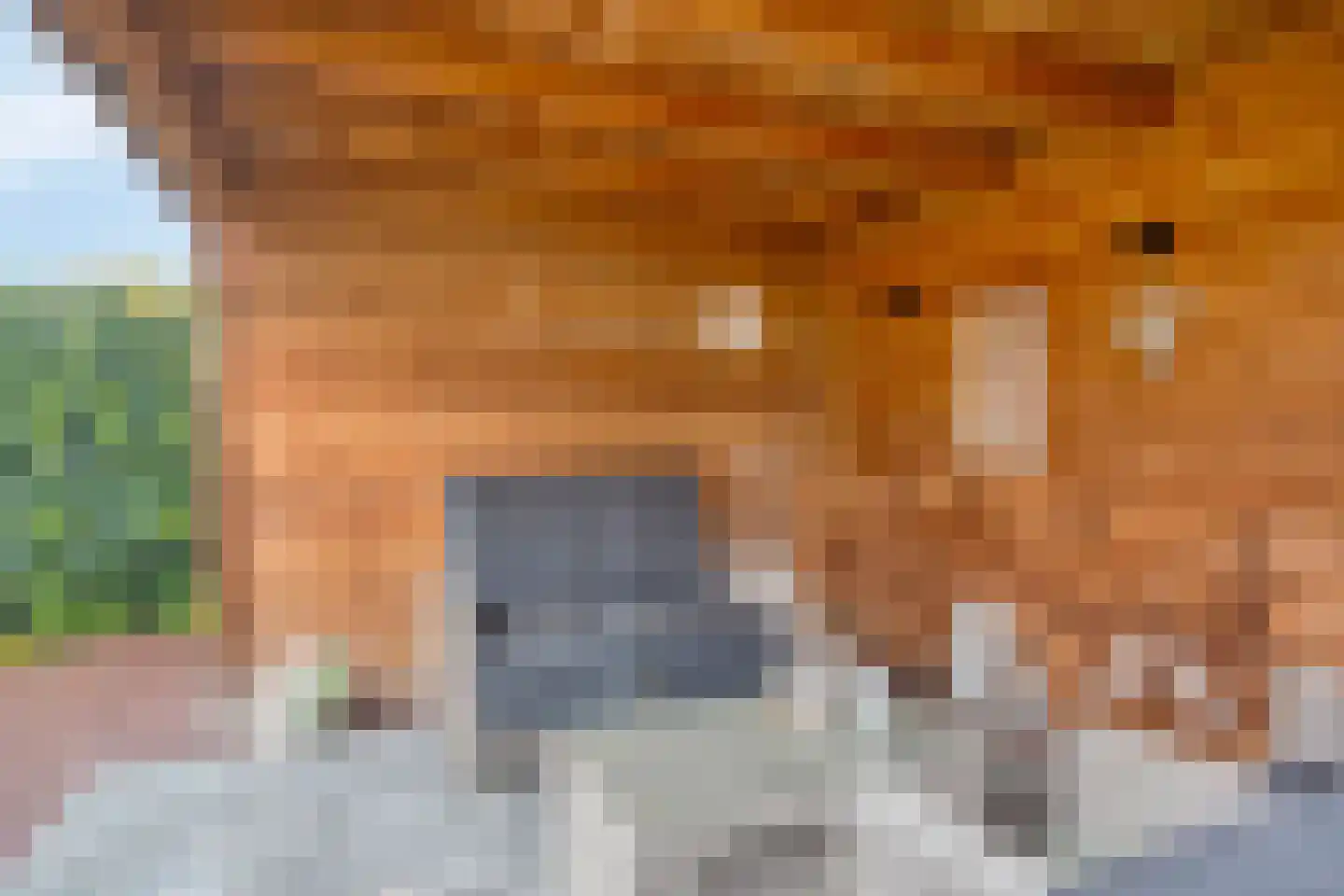 Tussen de Heggen 20 Zetten thumbnail 39
