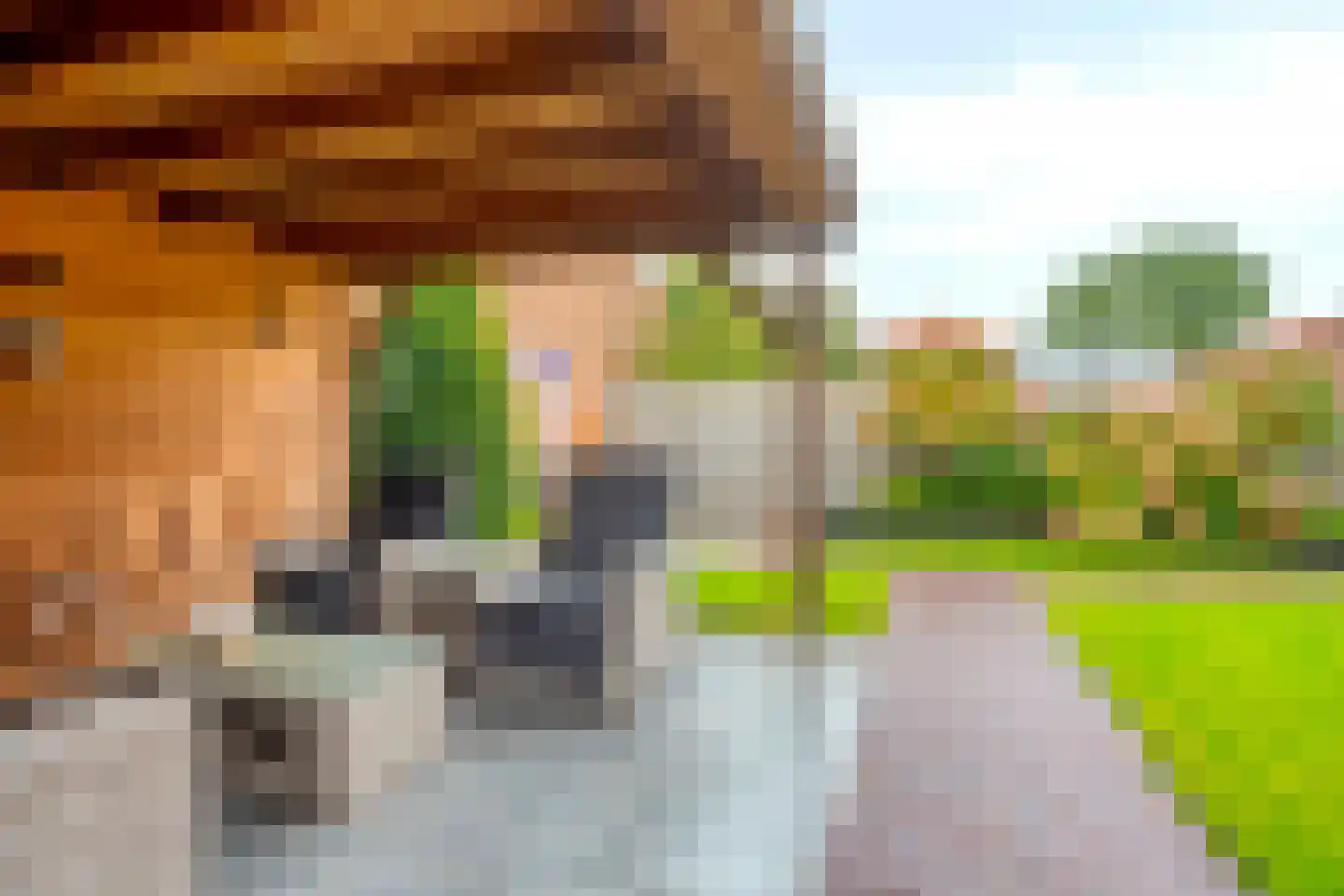 Tussen de Heggen 20 Zetten thumbnail 41