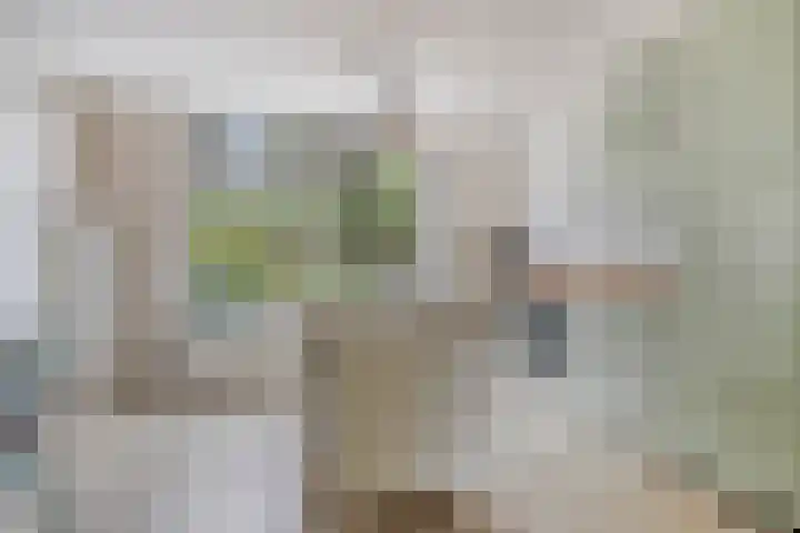 Tussen de Hoven 15 Oosterwolde thumbnail 18