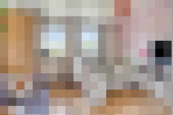 Tussen de Hoven 15 Oosterwolde thumbnail 33