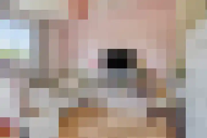 Tussen de Hoven 15 Oosterwolde thumbnail 35