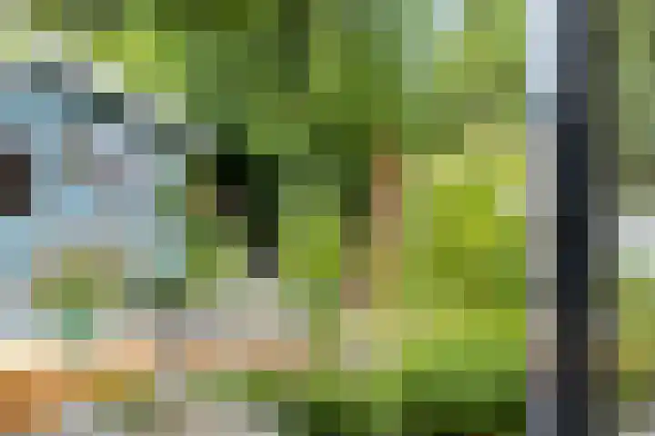 Tussen de Hoven 15 Oosterwolde thumbnail 40
