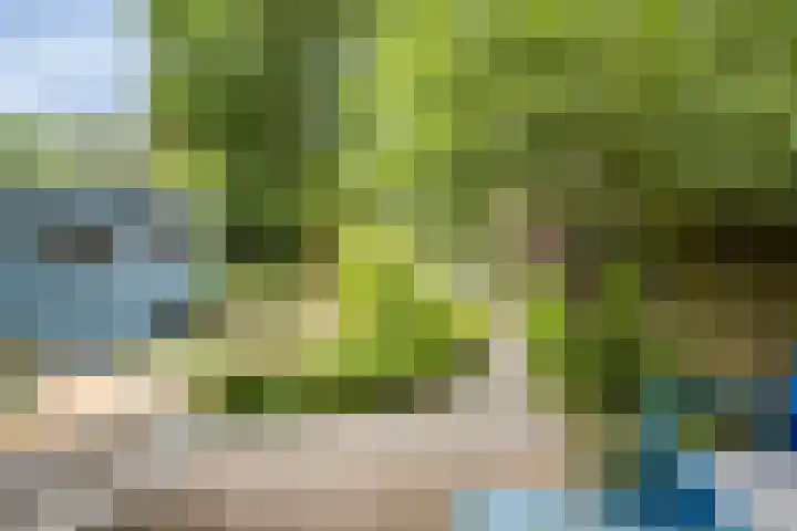 Tussen de Hoven 15 Oosterwolde thumbnail 41