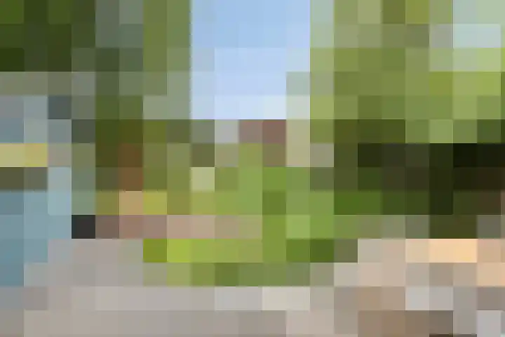 Tussen de Hoven 15 Oosterwolde thumbnail 42
