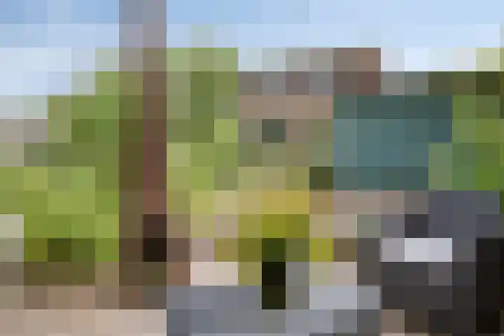 Tussen de Hoven 15 Oosterwolde thumbnail 44