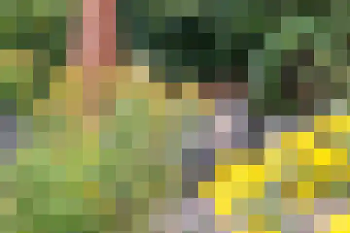 Tussen de Hoven 15 Oosterwolde thumbnail 45