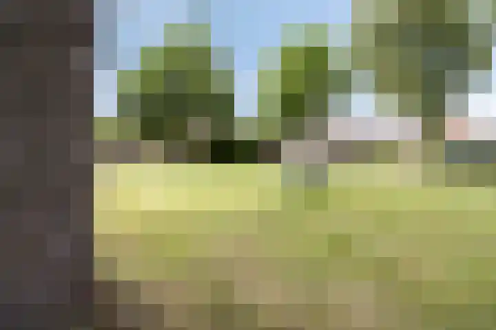 Tussen de Hoven 15 Oosterwolde thumbnail 47