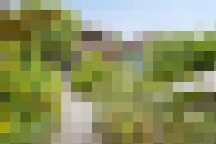 Tussen de Hoven 15 Oosterwolde thumbnail 5
