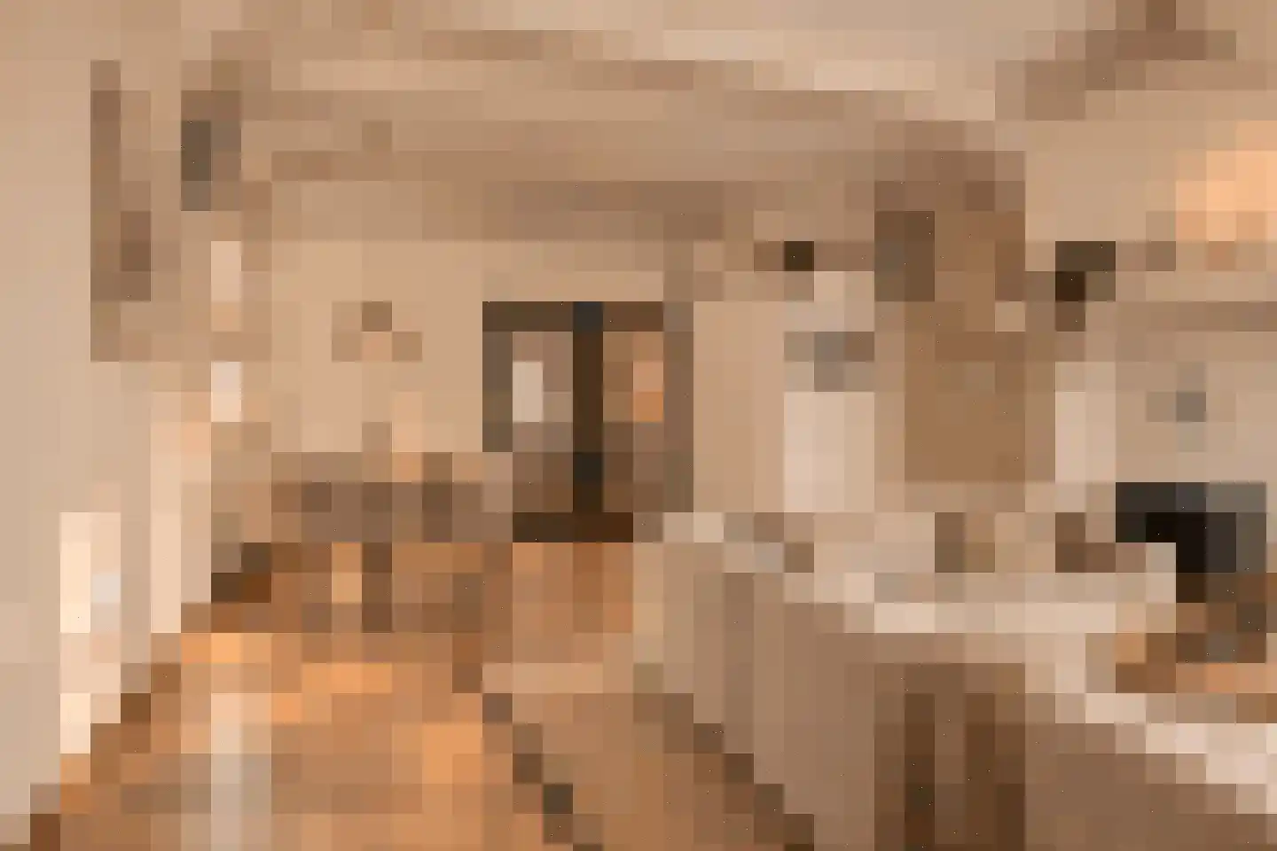 Tussen Hel en Vagevuur 3 Enkhuizen thumbnail 13