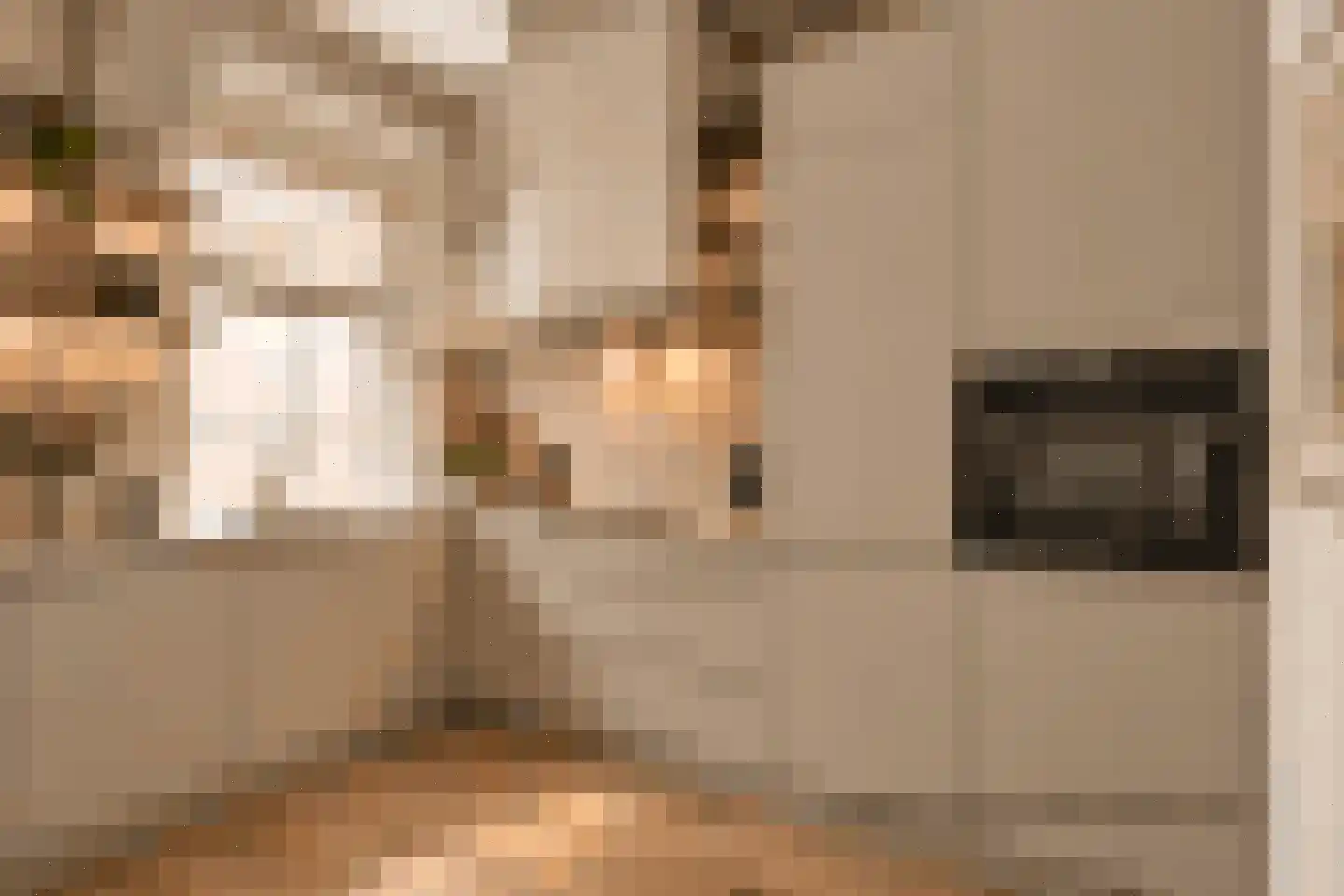 Tussen Hel en Vagevuur 3 Enkhuizen thumbnail 18