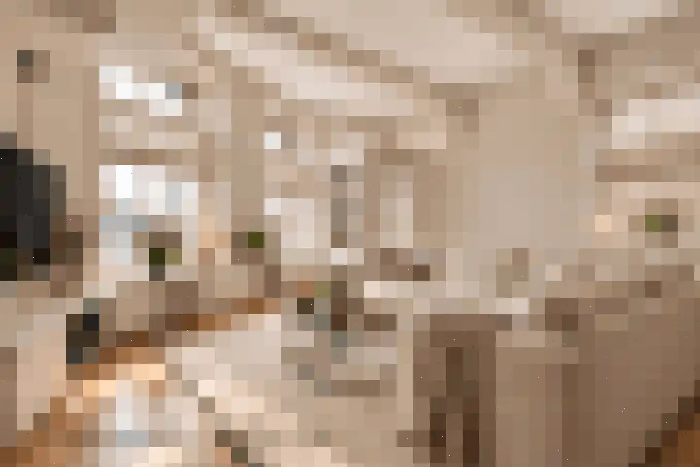 Tussen Hel en Vagevuur 3 Enkhuizen thumbnail 9