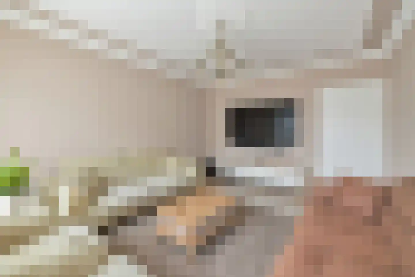 Tussen Meer 110 Amsterdam thumbnail 11