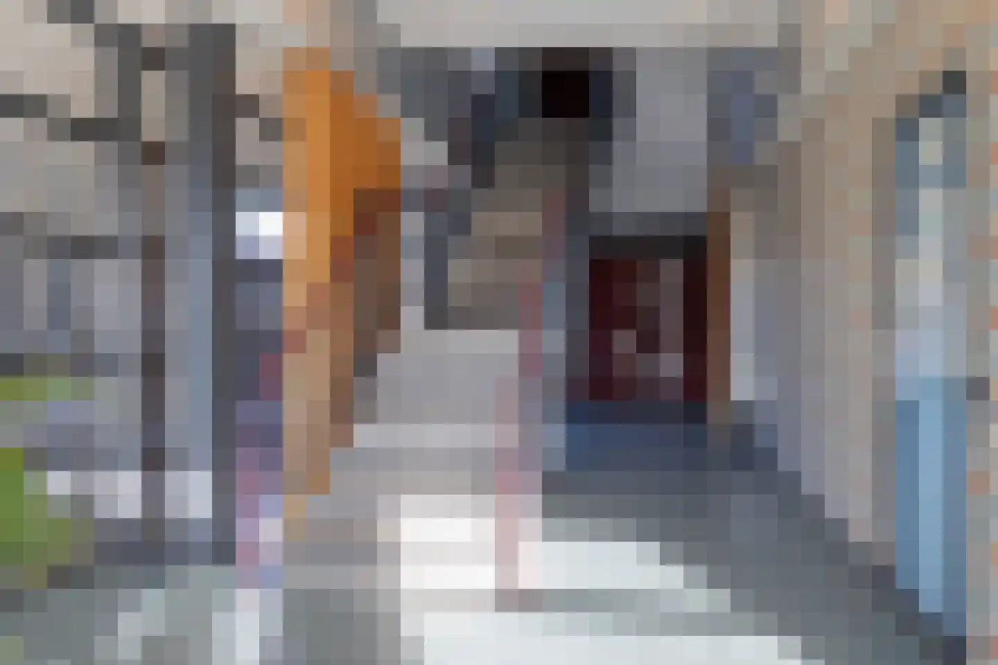 Tussen Meer 114 Amsterdam thumbnail 24