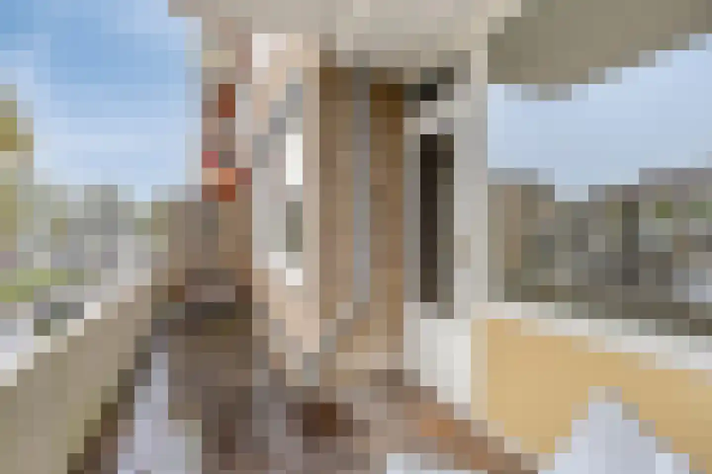 Tussen Meer 130 Amsterdam thumbnail 6
