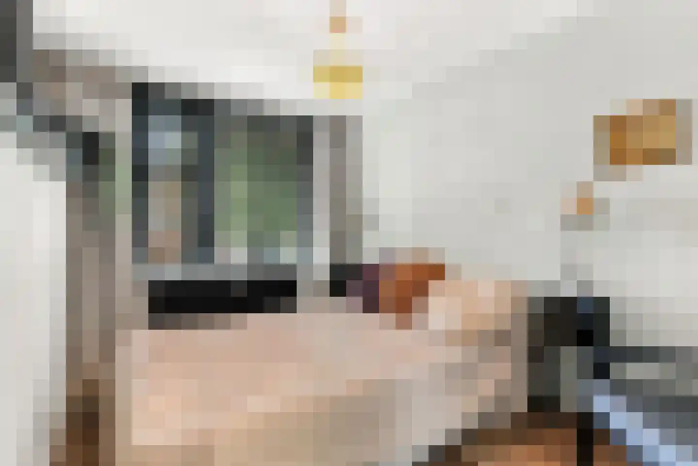 Tussen Meer 136 Amsterdam thumbnail 11