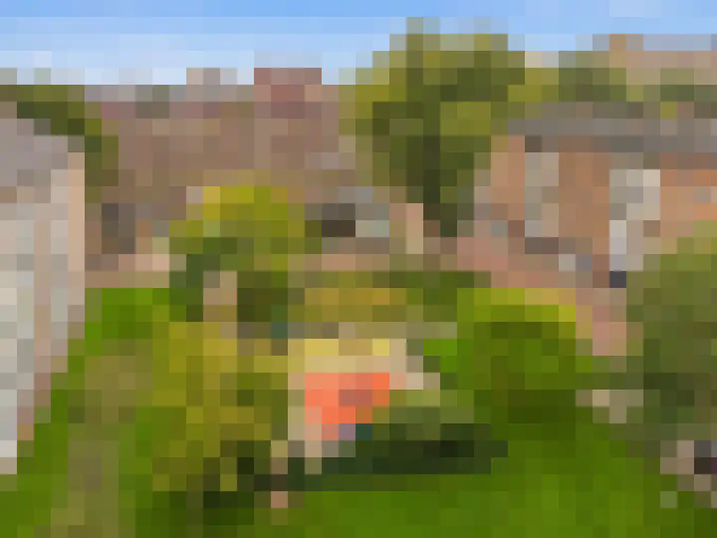 Tussen Meer 136 Amsterdam thumbnail 22