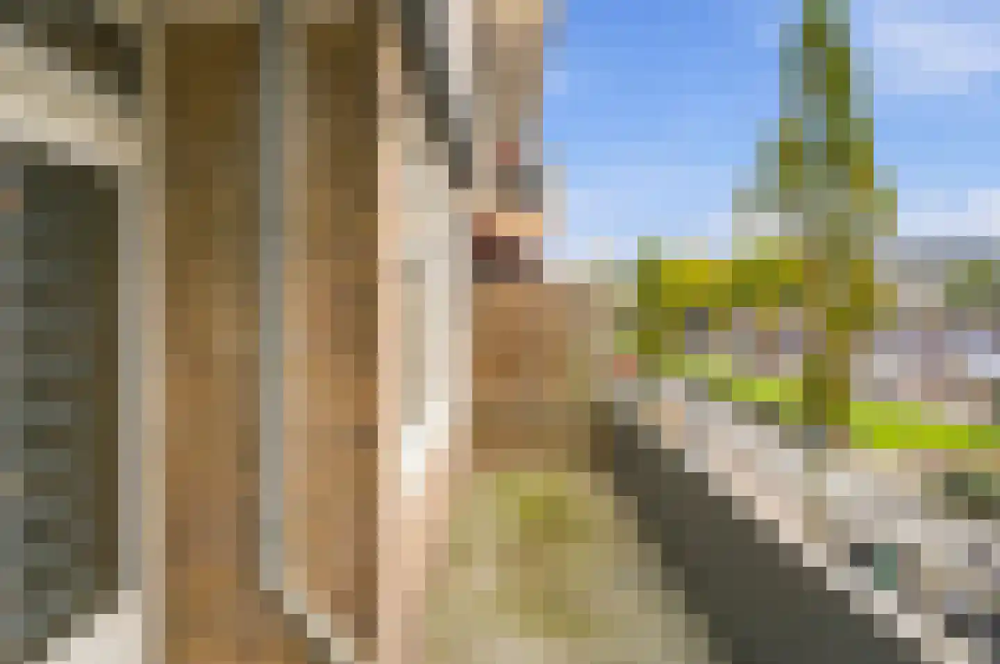 Tussen Meer 136 Amsterdam thumbnail 27