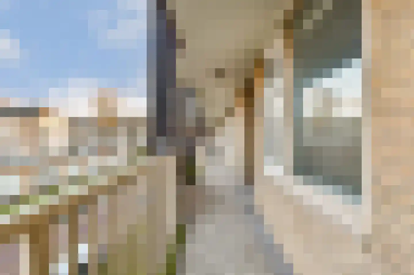Tussen Meer 190 Amsterdam thumbnail 23