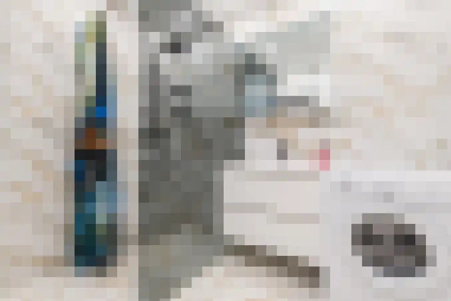 Tussen Meer 234 Amsterdam thumbnail 8