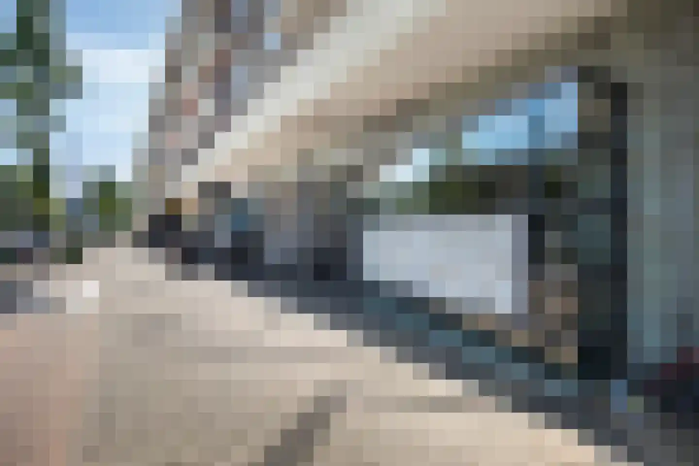 Tussen Meer 252 Amsterdam thumbnail 16
