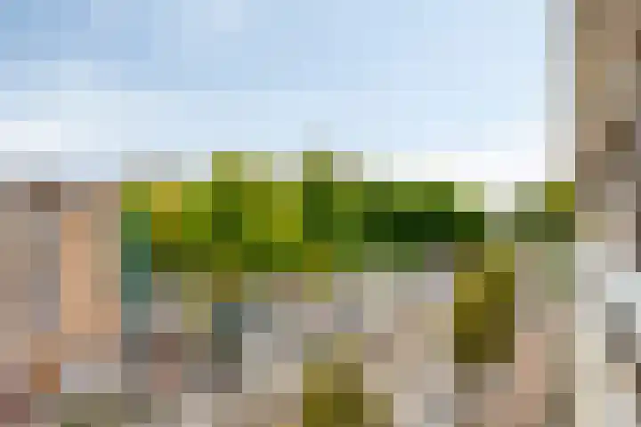 Tussen Meer 272 Amsterdam thumbnail 19