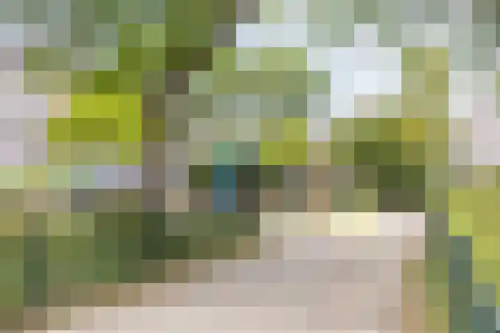Tussen Meer 272 Amsterdam thumbnail 30