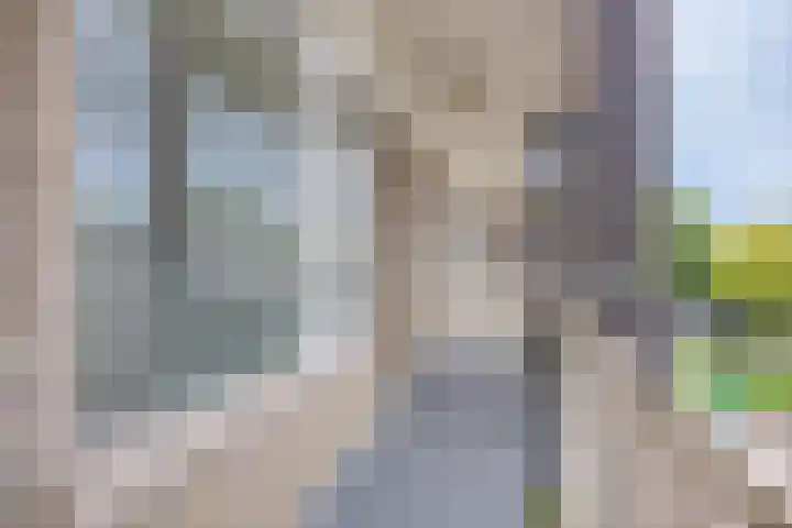 Tussen Meer 272 Amsterdam thumbnail 4