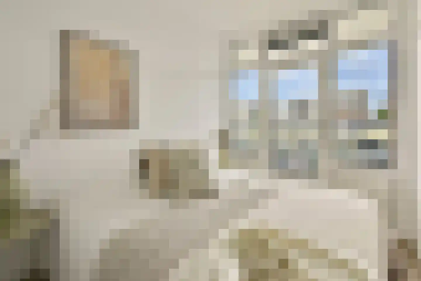 Tussen Meer 28 2 Amsterdam thumbnail 11