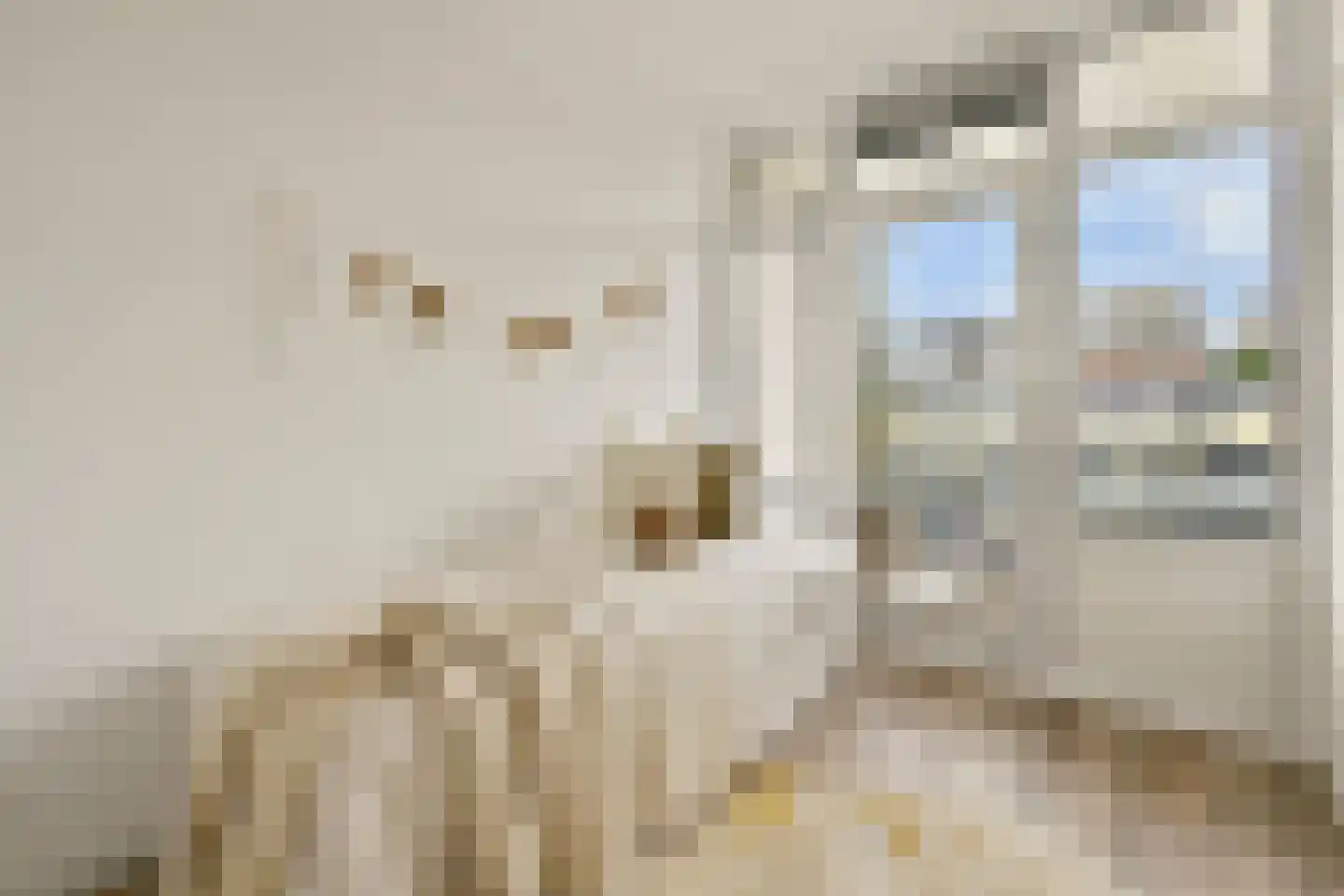 Tussen Meer 28 2 Amsterdam thumbnail 13