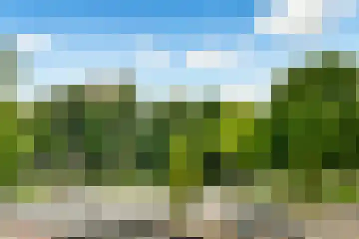 Tussen Meer 355 Amsterdam thumbnail 19