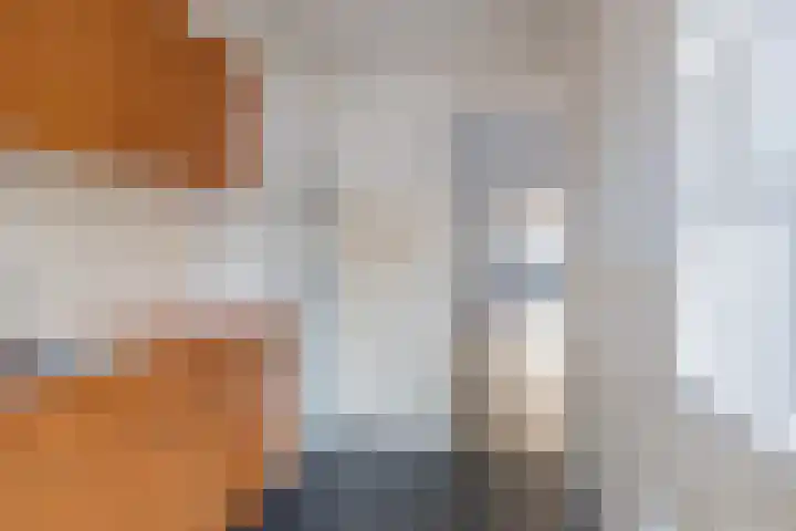 Tussenbeeksweg 36 IJmuiden thumbnail 10