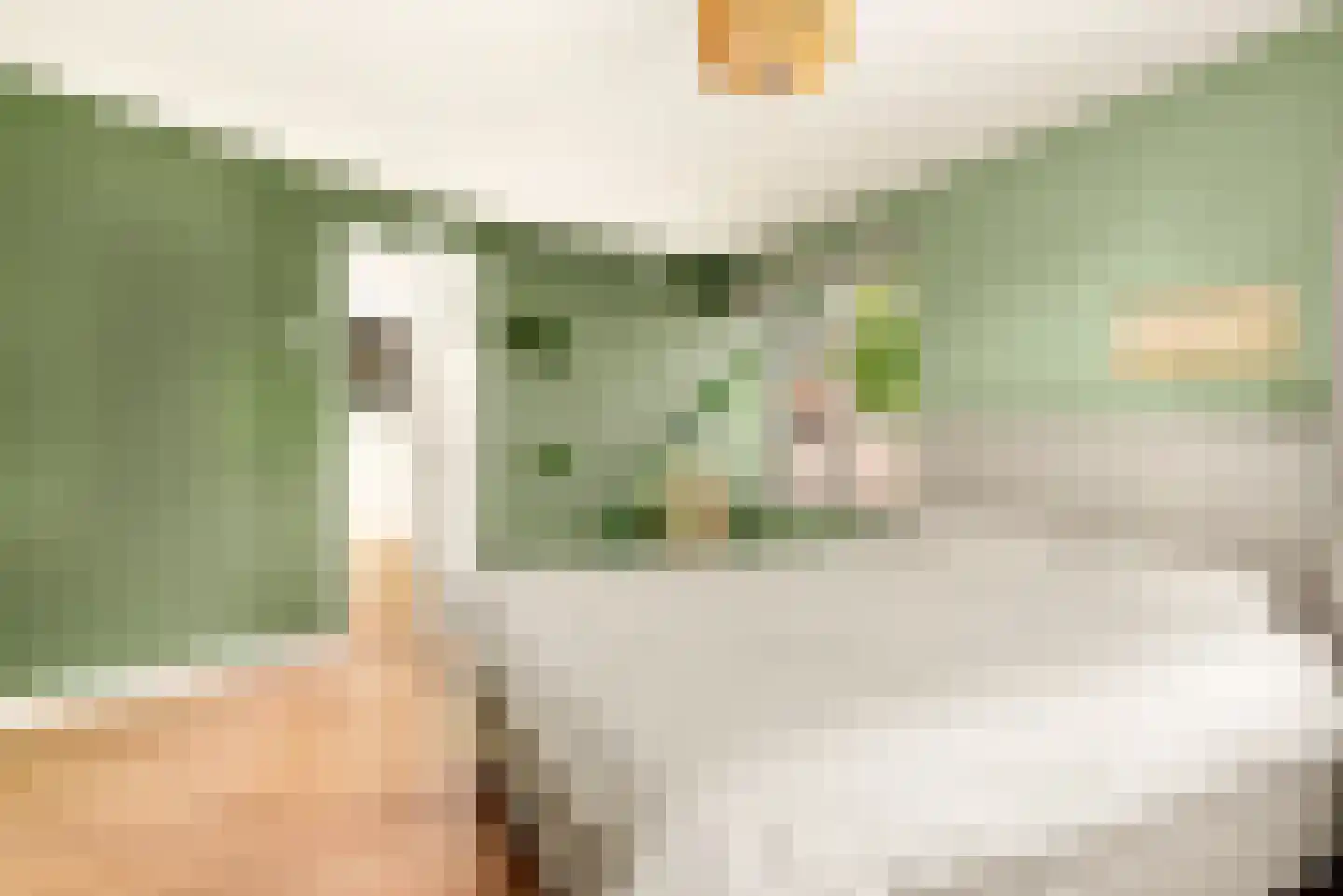Tussenbeeksweg 46 IJmuiden thumbnail 37